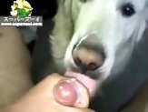 Tender doggy with amazing warm tongue