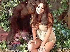 Fucks girl ape Busty woman