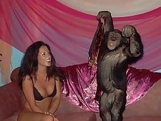 Girl And Monky Porn