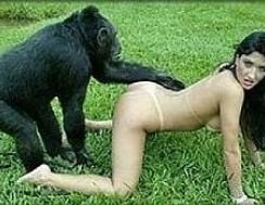 Latina Chicks Fucking Monkeys - Monkey animal porn